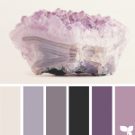Gray violet1